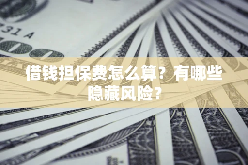 武汉借钱担保费怎么算？有哪些隐藏风险？
