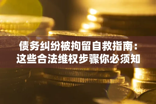 武汉债务纠纷被拘留自救指南：这些合法维权步骤你必须知道！