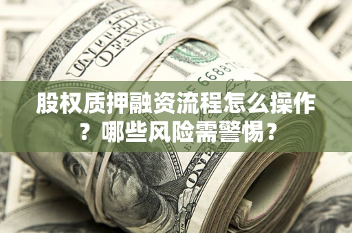 武汉股权质押融资流程怎么操作？哪些风险需警惕？