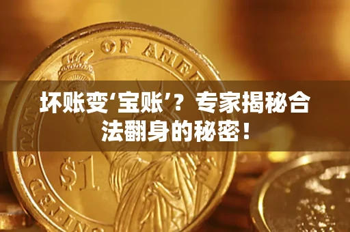 武汉坏账变‘宝账’？专家揭秘合法翻身的秘密！