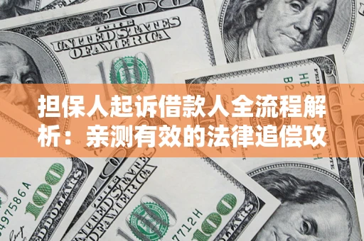 武汉担保人起诉借款人全流程解析：亲测有效的法律追偿攻略