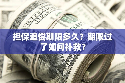 武汉担保追偿期限多久？期限过了如何补救？