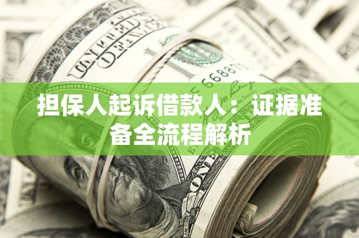 武汉担保人起诉借款人：证据准备全流程解析