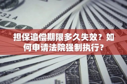 武汉担保追偿期限多久失效？如何申请法院强制执行？