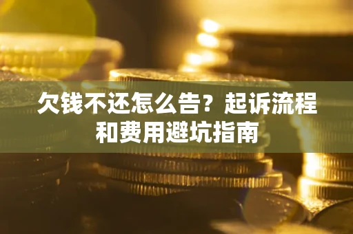 武汉欠钱不还怎么告？起诉流程和费用避坑指南