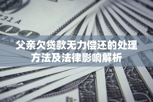 武汉父亲欠贷款无力偿还的处理方法及法律影响解析