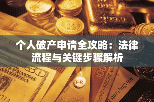 武汉个人破产申请全攻略：法律流程与关键步骤解析