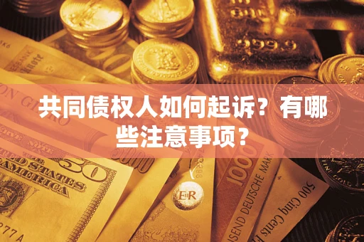 武汉共同债权人如何起诉？有哪些注意事项？